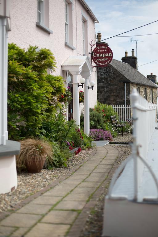 Cnapan Guest House Newport (Pembrokeshire) Exterior foto